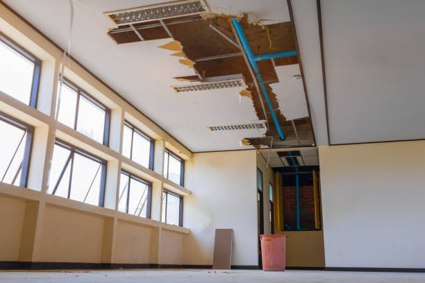Best Water damage restoration near me  in Petersburg, VA