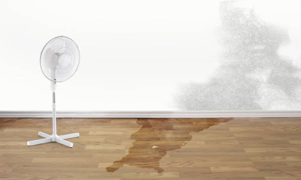 Best Water damage restoration near me  in Petersburg, VA